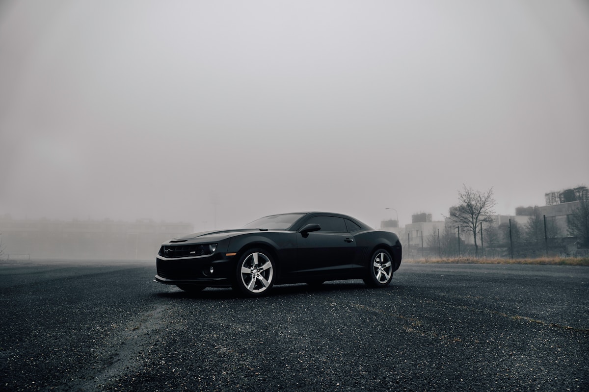 Black muscle car in fog